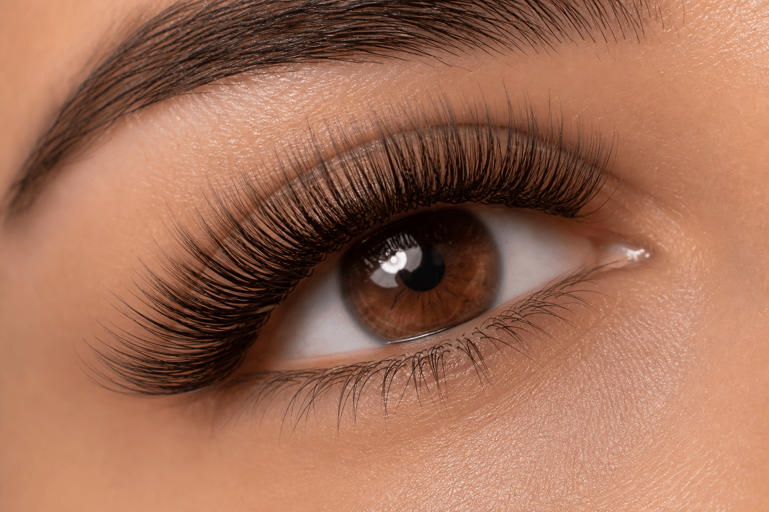 Brown-Tone Lashes